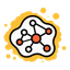 Big Data and Biological Networks icon